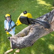 Best Grass Overseeding  in Charter Oak, CA