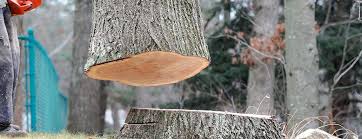 Best Emergency Tree Removal  in Charter Oak, CA